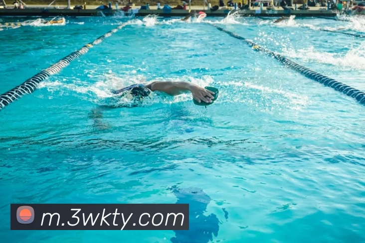 奖项证书